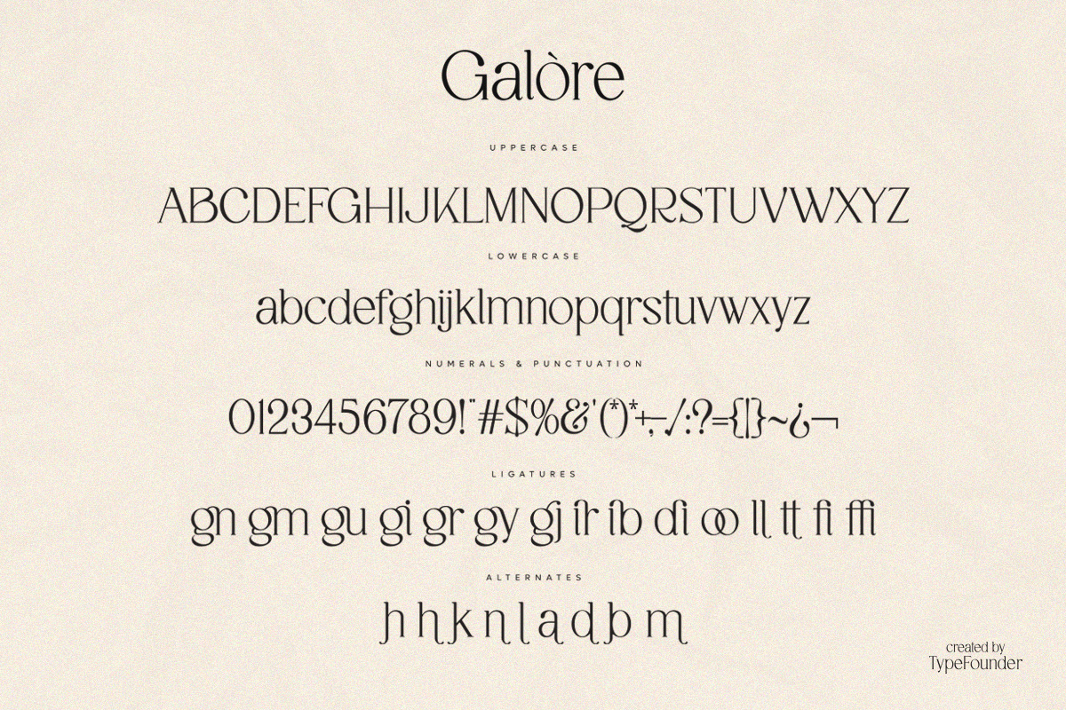 Galore - Elegant Modern Serif, a Serif Font by TypeFounder (Photo 11 of 12)