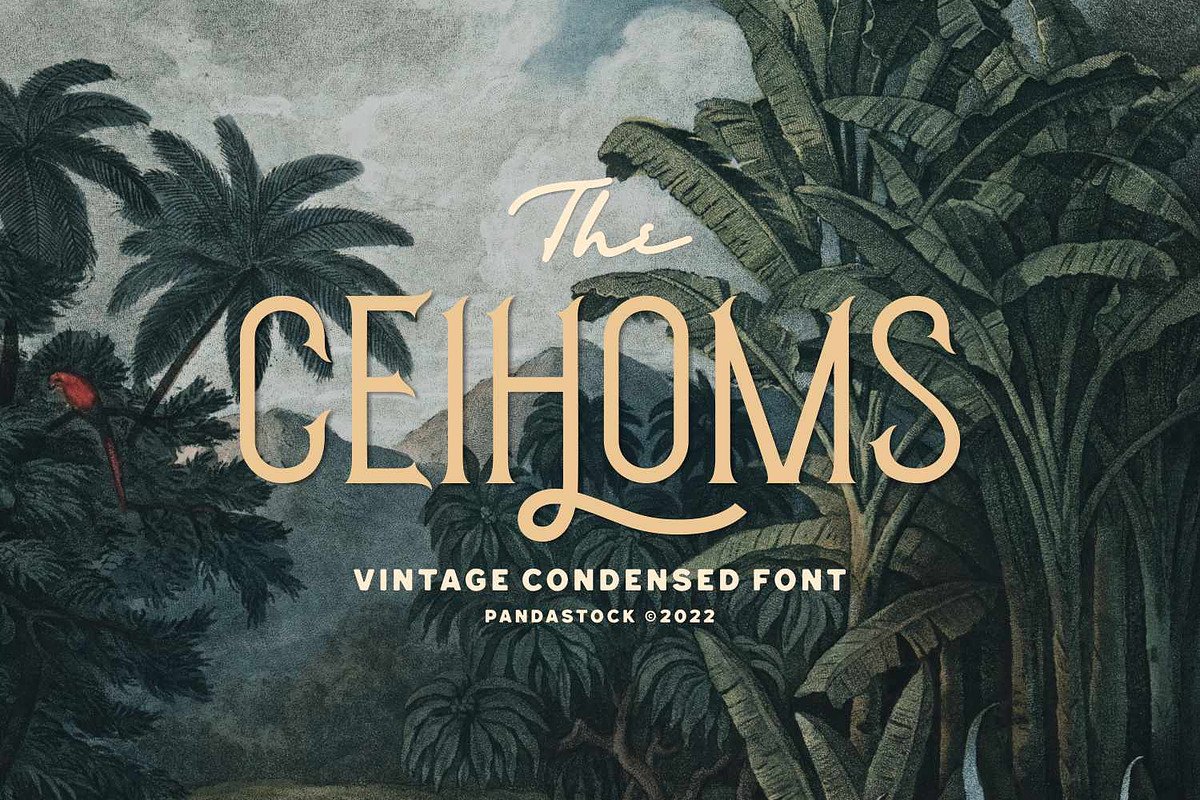 Ceihoms Vintage Lettering, a Font by Imoodev (Photo 1 of 5)