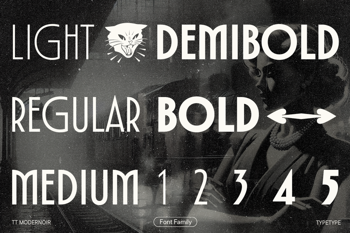 TT Modernoir, a Sans Serif Font by TypeType (Photo 2 of 17)