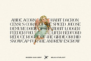Molina Elegant Sans Serif, a Sans Serif Font by Luna Shop (Thumbnail 9 of 11)