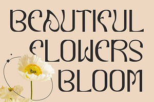 Reqiezza Decorative Display Font