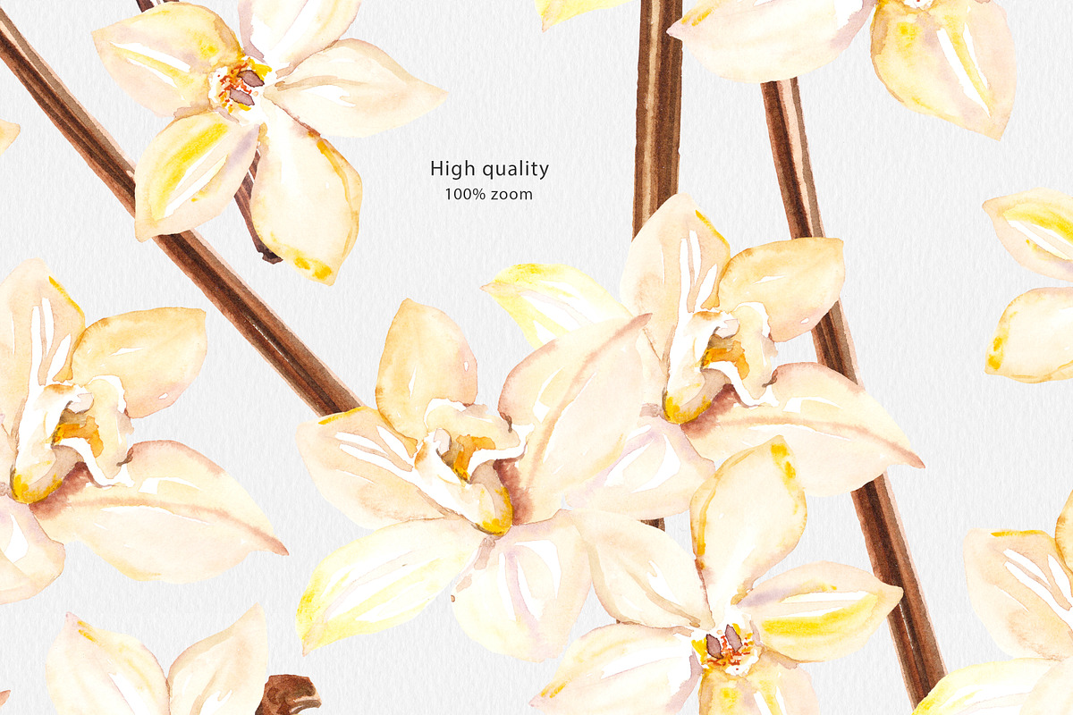 Cosmetic Ingredients Watercolor set, a Healthcare Illustration by Volha Studio (Photo 19 of 19)