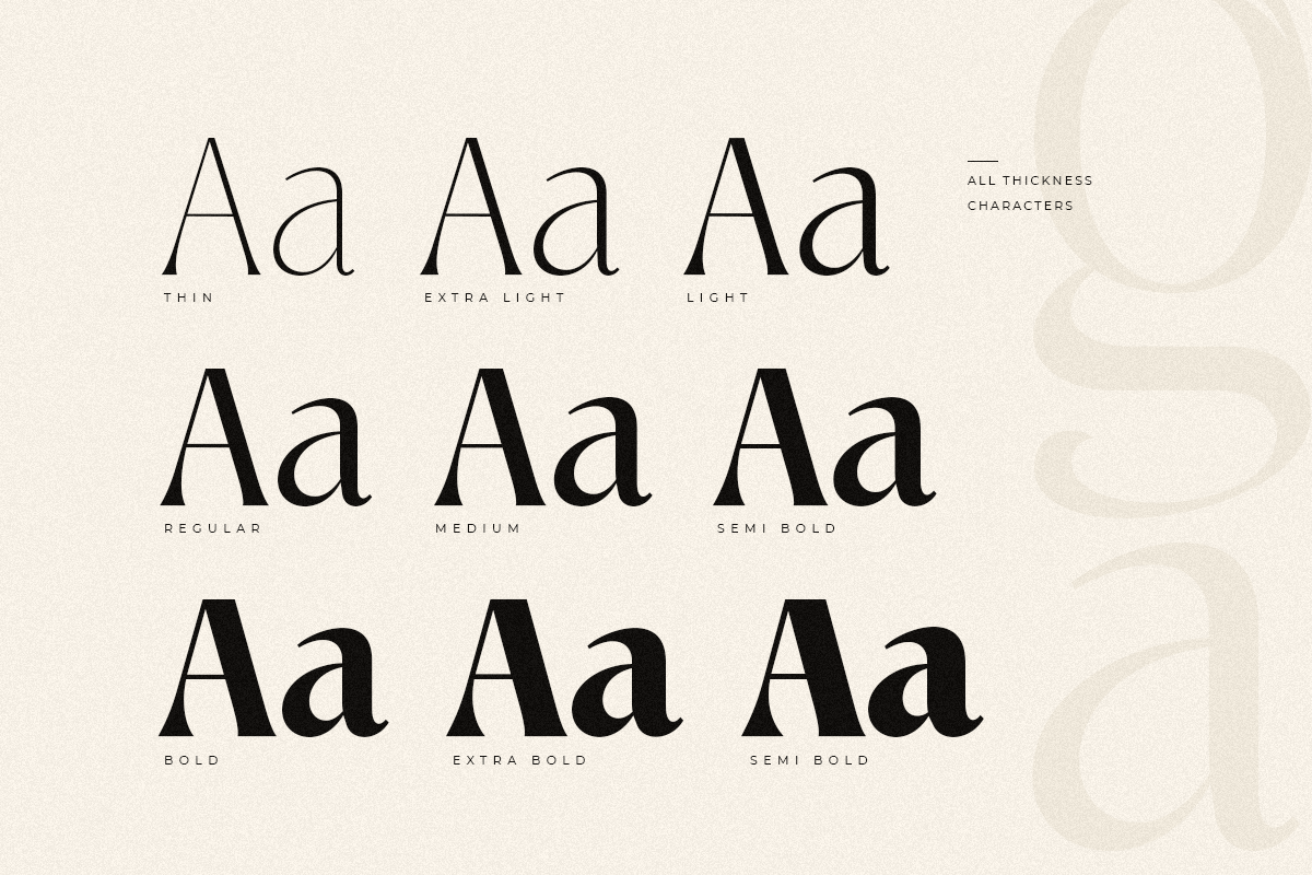 Manila – Modern Elegant Serif Font, a Serif Font by Hamz Studio (Photo 5 of 28)