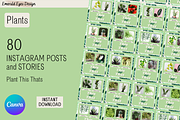 210 Canva Plant Instagram Bundle, a Social Media Template by Emerald Eyes Design (Thumbnail 6 of 13)