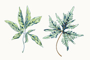 Tropical Leaf Clip Art, an Illustration by Ania Illustration (Thumbnail 6 of 6)
