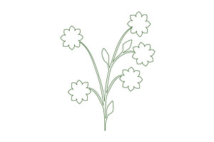 Delicate green line art drawing of a, an Object Illustration by okskukuruza