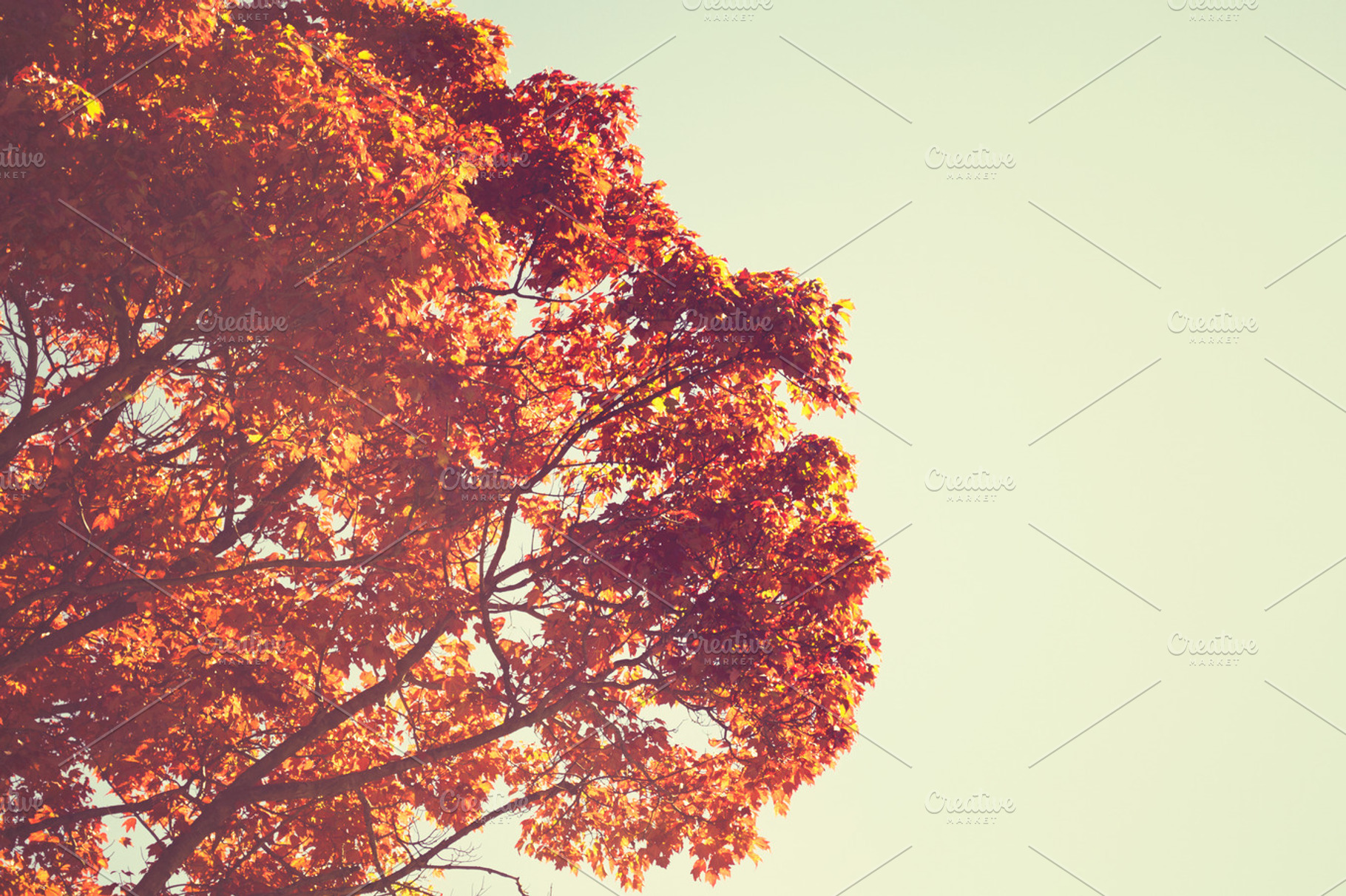 Retro Fall