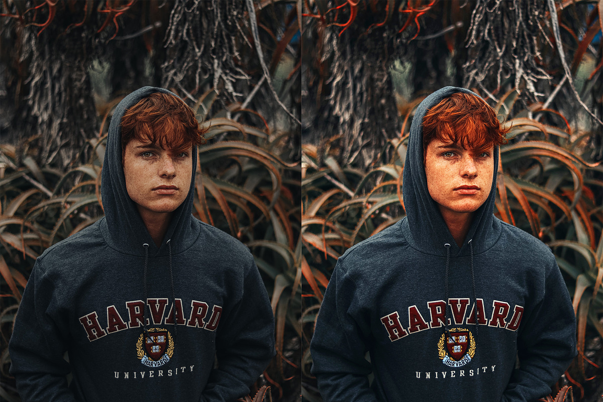 HDR Photoshop Actions, an Action Add-On by Bato (Photo 7 of 16)