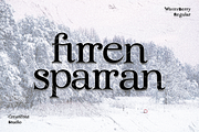 CF Winterberry - Christmas Serif, a Serif Font by Indotype Foundry (Thumbnail 4 of 10)