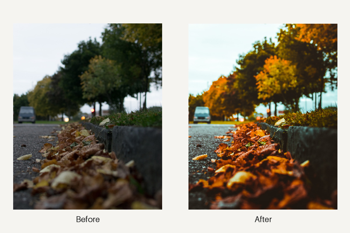 Autumn Vibes - Lightroom Presets preview 3
