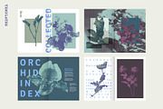 Printed Botanical Graphics, an Object Graphic by Neatly Made Studio (Thumbnail 15 of 17)