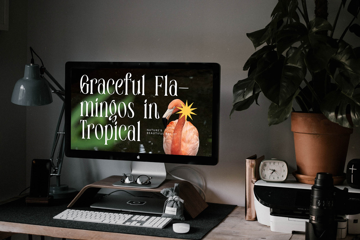 Enigmatic Legendary Modern Serif, a Serif Font by timelesstype.co (Photo 16 of 20)