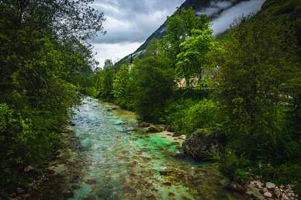 Soca river in the green forest, a Nature Photo by Alpine Dreams