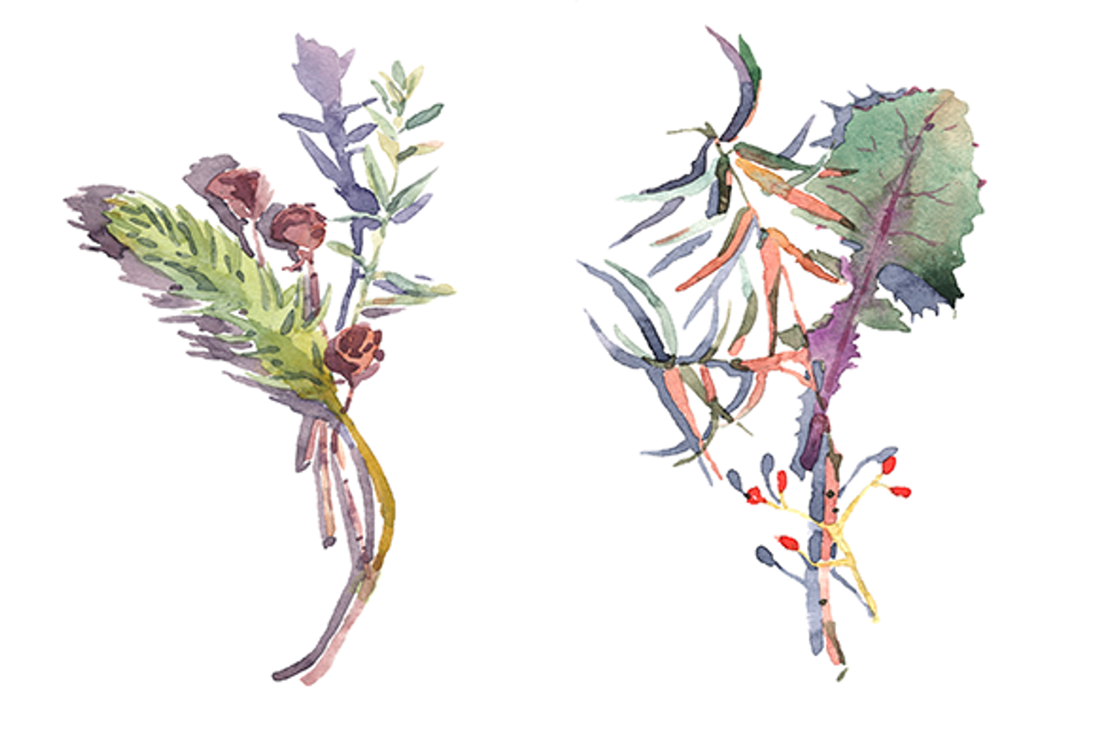 Spring watercolor clipart set, an Illustration by masha gross (Photo 3 of 4)
