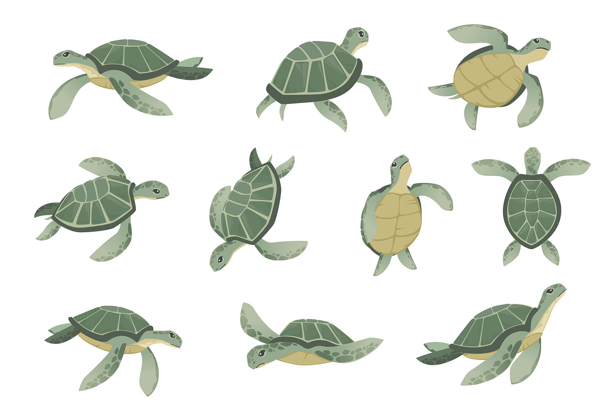 Set of big green sea turtle cartoon, an Animal Illustration by Alfmaler