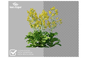 81 Farm Plants Photo Overlays, a Nature Photo by KenScape (Thumbnail 2 of 3)