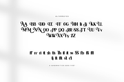 Nakumita, a Serif Font by josstype (Thumbnail 15 of 16)