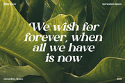 Silk Flower - Modern Serif, a Serif Font by Megi Satyo Widodo (Thumbnail 7 of 26)