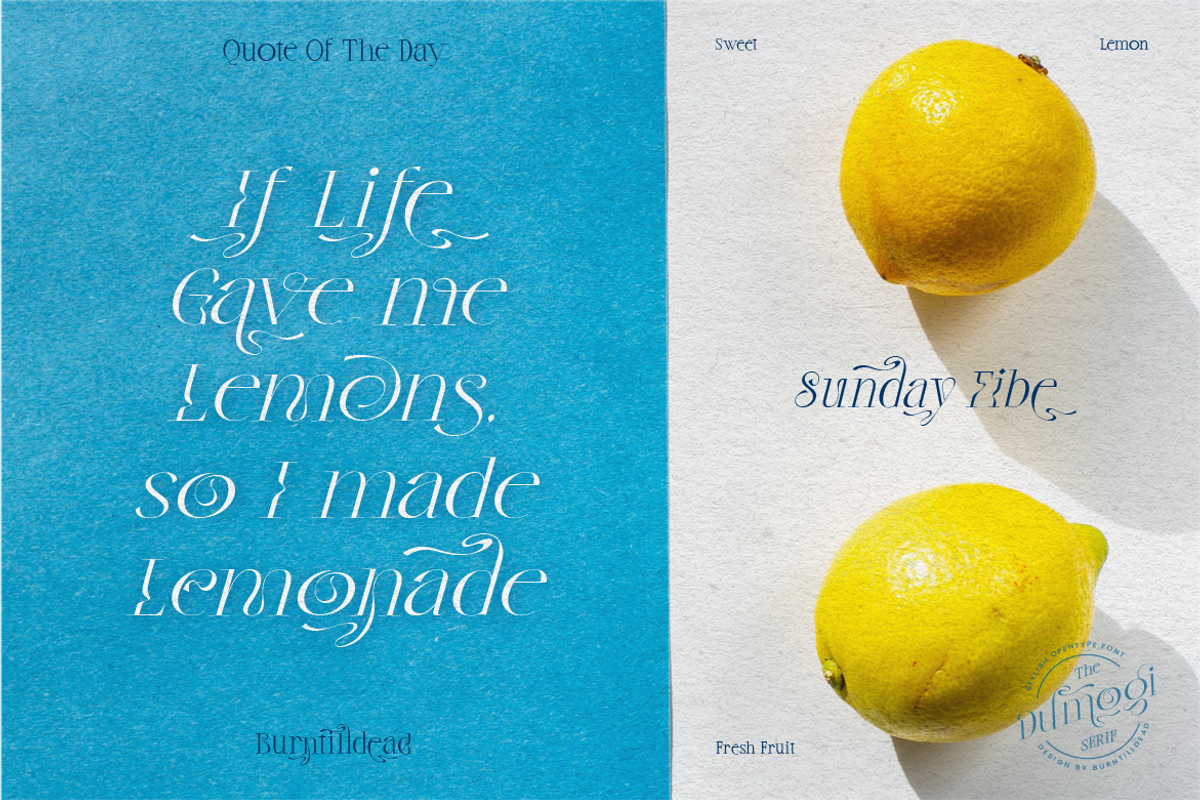 Dumogi, a Serif Font by Burntilldead (Photo 5 of 11)
