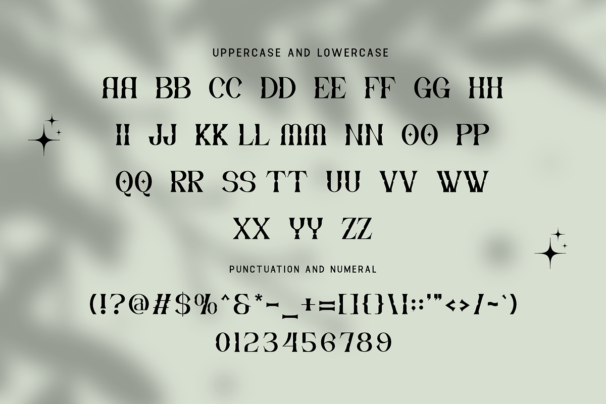 Drivzen - Modern Serif Typeface, a Serif Font by overlaytemplates (Photo 4 of 5)
