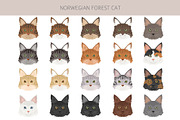 Norwegian Forest cat clipart, an Animal Illustration by pet design shop (Thumbnail 5 of 6)