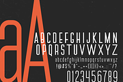 LeBlanc - Condensed Sans Serif, a Sans Serif Font by FactoryType Studio (Thumbnail 4 of 10)