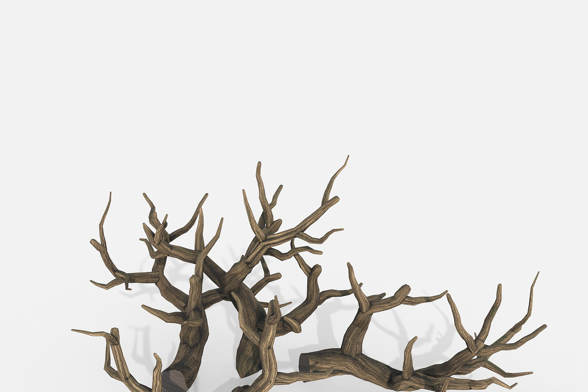 Aquarium Snag Banches V2, an Environmental 3D Model by AndrewWhite (Photo 4 of 8)