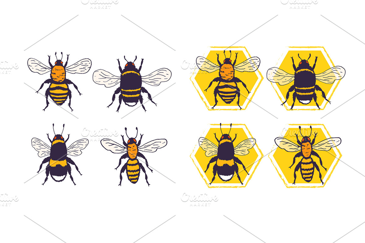 Bees set, illustrations + patterns, an Animal Illustration by OKart.studio (Photo 5 of 6)