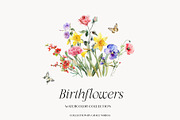Watercolor Birthmonth florals Set, a Decorative Illustration by Grace Noboa Illustrations (Thumbnail 9 of 10)