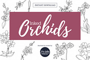 Inked Orchid Illustration Collection, an Illustration by Hannah Eliza Studio (Thumbnail 1 of 4)