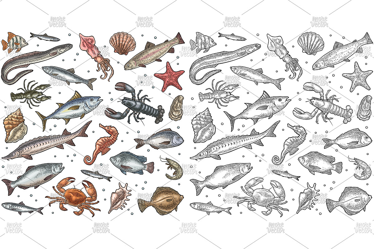 Set fish crustacean engraving, an Animal Illustration by MoreVector