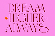 Maison Salome, a Serif Font by zeenesia (Thumbnail 6 of 16)