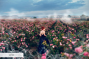 White Smoke Photoshop Overlays, a Plug-in Add-On by FixThePhoto (Thumbnail 24 of 34)