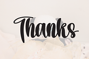 Rustic Panda | Script Font, a Handwritten Font by Scratchones (Thumbnail 9 of 9)