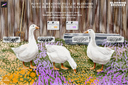 Blooming Brushes for Procreate, a Brush Add-On by Julia Dreams (Thumbnail 4 of 6)