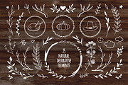 Thanksgiving Day lettering & clipart, a Decorative Illustration by harmonia_green_art (Thumbnail 7 of 8)