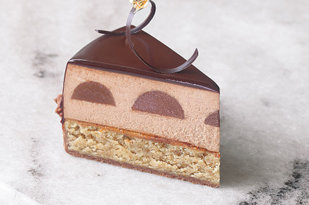Chocolate Praline Mousse Cake