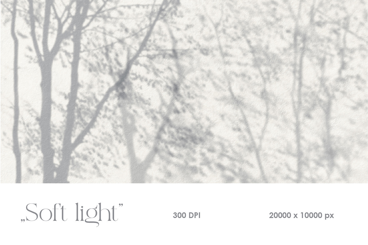 Shadows – wall mural collection, a Wallpaper Graphic by Timofi Art (Photo 4 of 17)