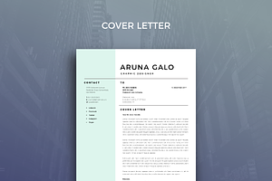 Resume Template 22