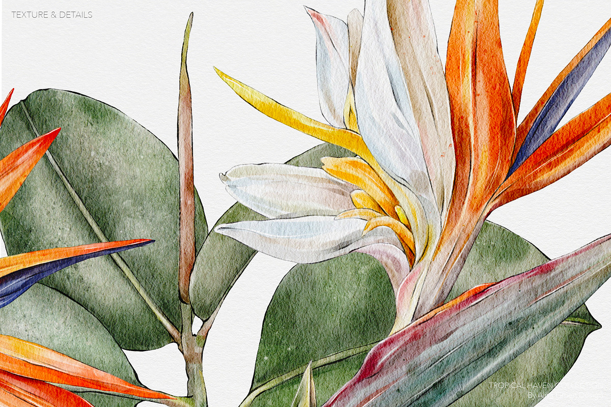Tropical Haven I Premium Collection, a Pattern Graphic by Alisa Fimen Design (Photo 10 of 11)