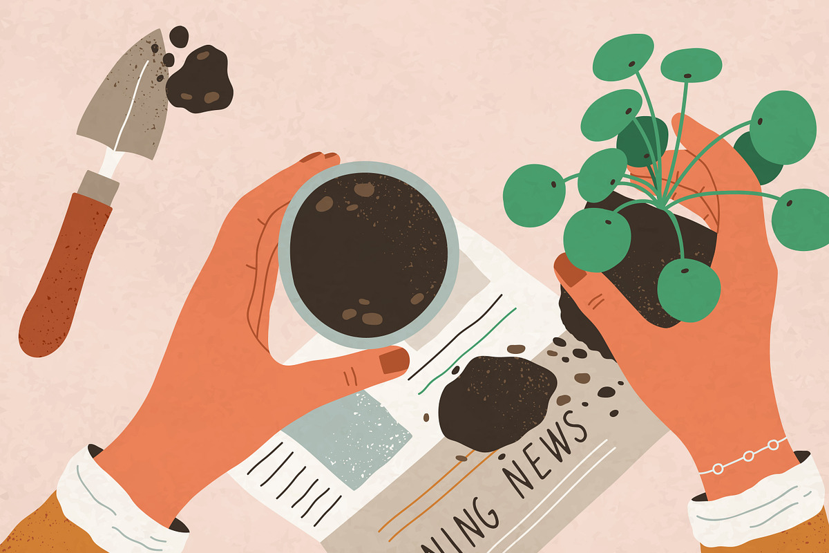 Process of house plant transplanting, an Object Illustration by Good Studio (Photo 3 of 3)