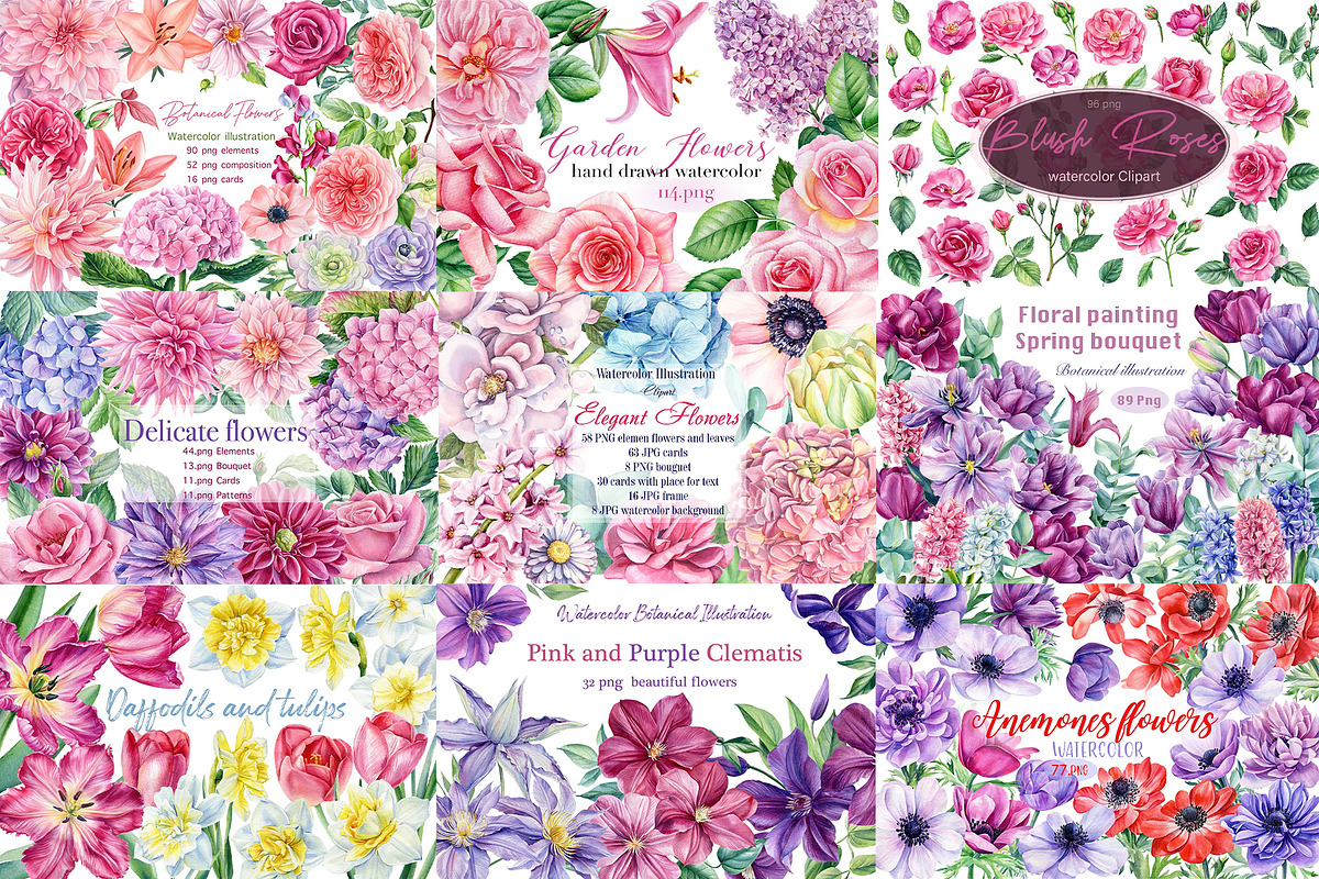 Bundle floral illustration, a Decorative Illustration by Hanna Hryharenka (Photo 10 of 10)