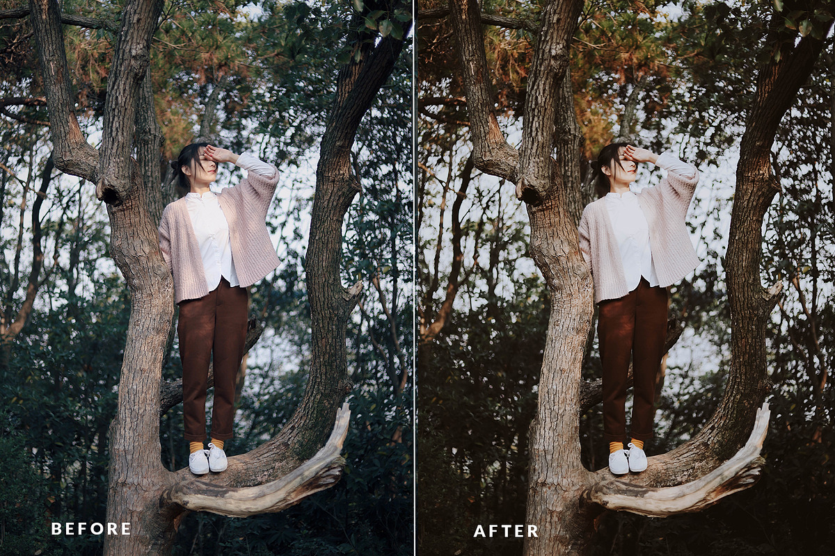 Mobile Oneday : Moody Fade Lr preset preview 5