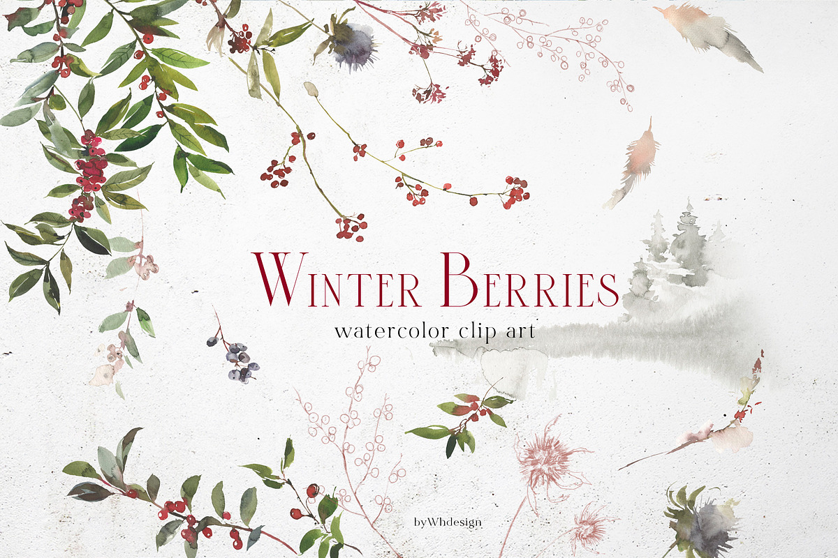 Winter Berries Christmas Watercolour, a Decorative Illustration by whiteheartdesign (Photo 1 of 14)