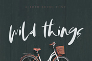 Wild Things Brush Font, a Script Font by Digital Hustler (Thumbnail 1 of 10)
