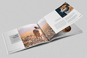 Multipurpose Brochure - Johnny, a Brochure Template by Typography Prime (Thumbnail 6 of 11)