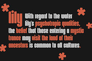 Krusht — Ultra Condensed Font, a Sans Serif Font by TirionType (Thumbnail 6 of 9)