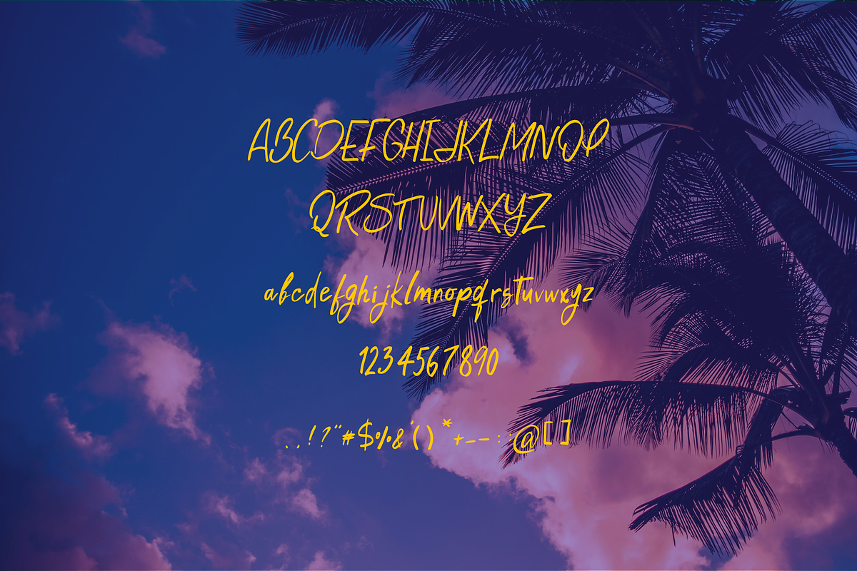 Palmer Handwritten Script, a Script Font by gafaroff studio (Photo 11 of 11)