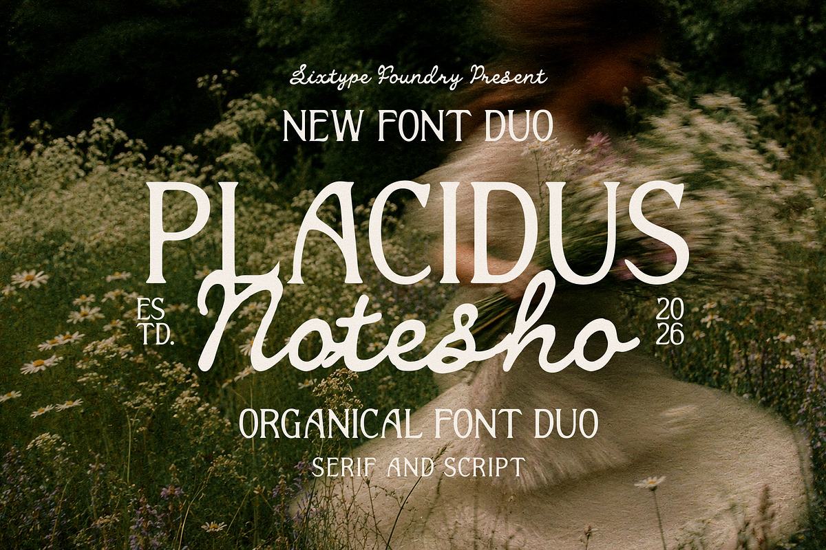 Placidus Notesho Retro Whimsical, a Handwritten Font by Sixtype (Photo 1 of 10)