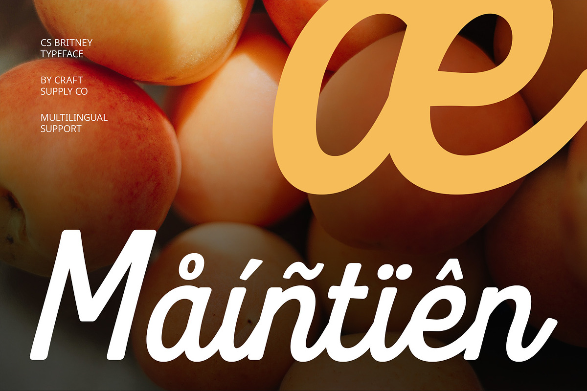 CS Britney – Script Font, a Script Font by Craft Supply Co. (Photo 5 of 8)